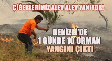 Denizli’de 1 günde 10 orman yangını çıktı