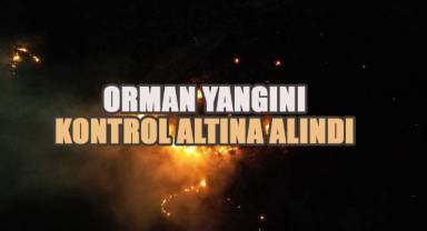 Denizli'de çıkan orman yangını kısmen kontrol altına alındı