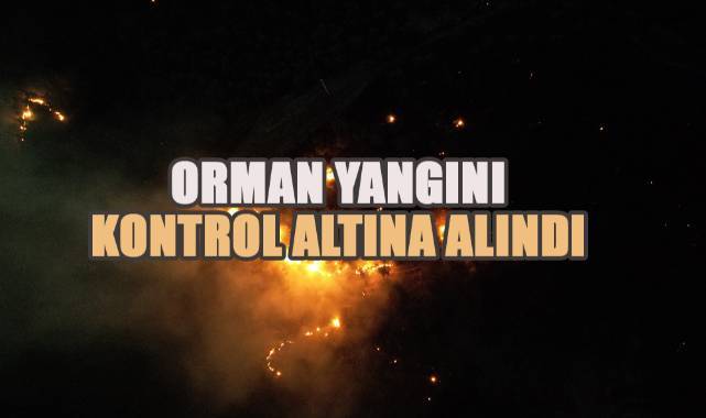 Denizli'de çıkan orman yangını kısmen kontrol altına alındı
