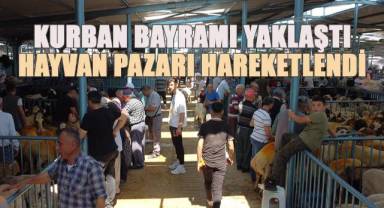 Denizli'de kurban pazarı hareketlendi