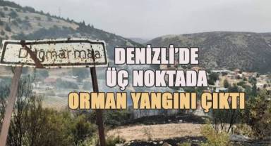 Denizli'de üç noktada orman yangını çıktı
