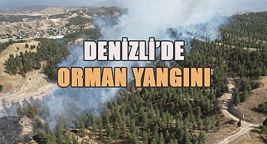 Denizli'de yerleşim yerlerine yakın bölgede orman yangını çıktı