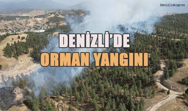 Denizli'de yerleşim yerlerine yakın bölgede orman yangını çıktı