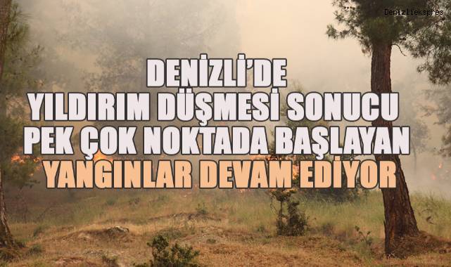 Denizli'de yıldırım düşmesi sonucu pek çok noktada başlayan yangınlar devam ediyor