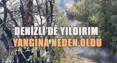 Denizli’de yıldırım yangına neden oldu