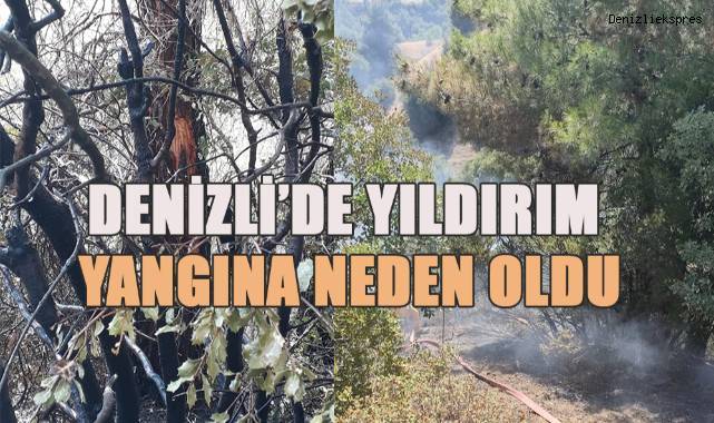 Denizli’de yıldırım yangına neden oldu