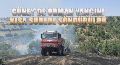 Güney'de orman yangını kısa sürede söndürüldü