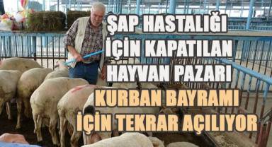 Şap hastalığı nedeniyle kapatılan hayvan pazarı Kurban Bayramı için tekrar açılıyor