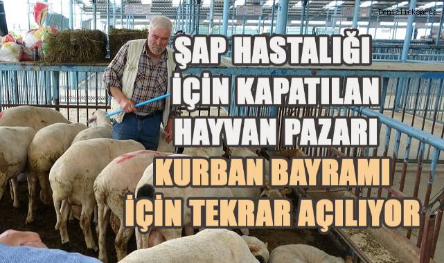 Şap hastalığı nedeniyle kapatılan hayvan pazarı Kurban Bayramı için tekrar açılıyor