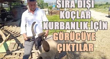 Sıra dışı koçlar alıcılarını bekliyor