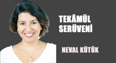 Tekâmül Serüveni