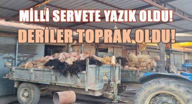Tüccarın almadığı deriler toprak oldu