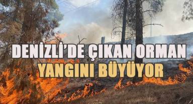 Yerleşim alanına doğru ilerleyen yangın için hava desteği istendi