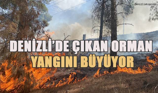 Yerleşim alanına doğru ilerleyen yangın için hava desteği istendi