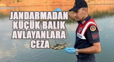 Akbaş Barajında Küçük Balık Avlayanlara 18 Bin Lira Ceza