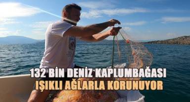 Akdeniz'de balıkçı ağlarına takılan 132 bin deniz kaplumbağası ışıklı ağlarla korunuyor