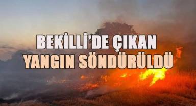 Bekilli'de ormanlık alanda çıkan yangında 100 hektar alan zarar gördü