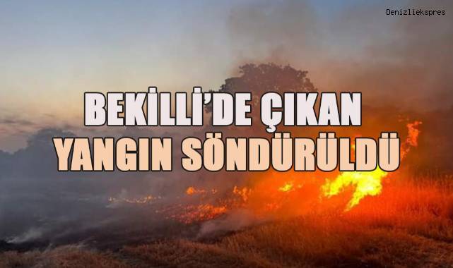 Bekilli'de ormanlık alanda çıkan yangında 100 hektar alan zarar gördü