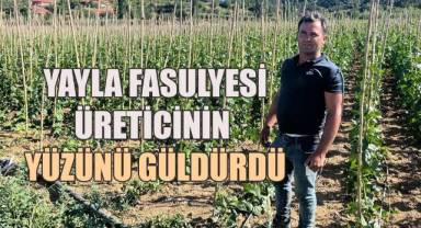 Buldan’ın yayla fasulyesinde rekor verim: Üreticiler memnun