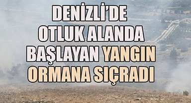 Denizli'de otluk alanda başlayan yangın, ormana sıçradı