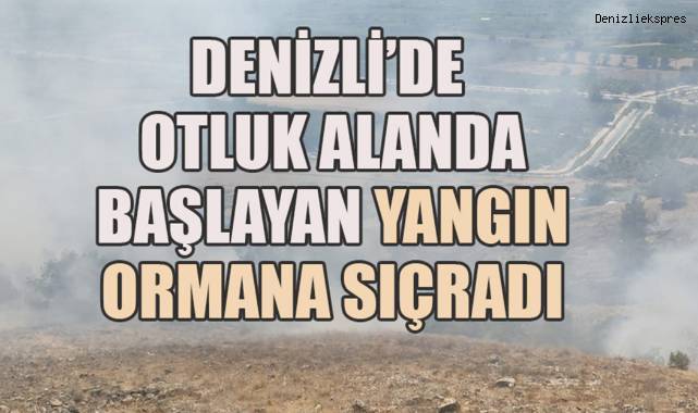 Denizli'de otluk alanda başlayan yangın, ormana sıçradı