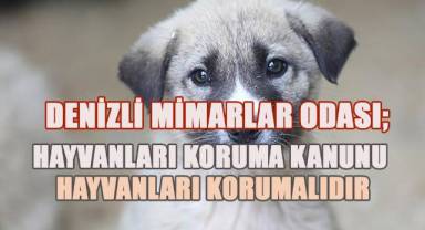Denizli Mimarlar Odası,