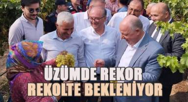 Denizli Türkiye üzüm üretimi sıralamasında 4. sırada yer alıyor.