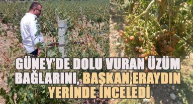 Güney'i dolu vurdu, Başkan Eraydın zarar gören üzüm bağlarını yerinde inceledi