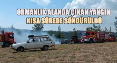 Ormanlık alanda çıkan yangın kısa sürede söndürüldü