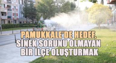 Pamukkale mahallesinin 61 mahallesinde uçkunla mücadele devam ediyor