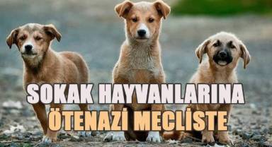 Sahipsiz sokak hayvanlarına yönelik düzenlemeler içeren kanun teklifi Meclis'e verildi