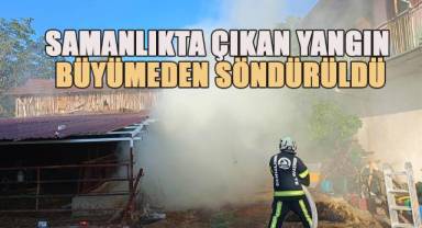Samanlıkta çıkan yangın büyümeden söndürüldü