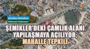 Şemikler'deki çamlık alan yapılaşmaya açılıyor: Mahalle halkı ayağa kalktı
