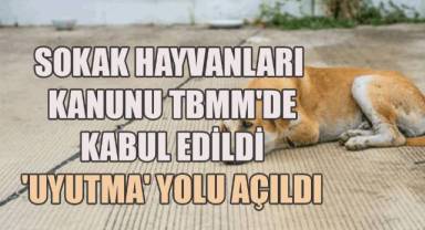 Sokak Hayvanları Kanunu TBMM'de kabul edildi, 'Uyutma' yolu açıldı