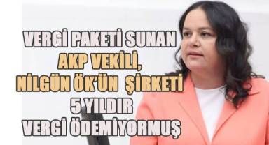 Vergi paketi sunan AKP Denizli milletvekili Nilgün Ök'ün şirketi 5 yıldır vergi ödemiyormuş