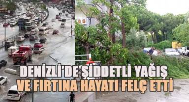 Yağış nedeniyle ulaşımda aksamalar oldu, fırtına ağaçları devirdi