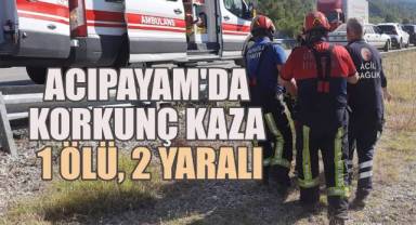 Acıpayam'da korkunç kaza; 1 ölü, 2 yaralı