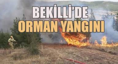 Bekilli'de orman yangını