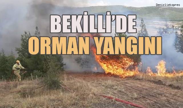 Bekilli'de orman yangını