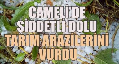 Çameli’de Şiddetli Dolu Tarım Arazilerini Vurdu