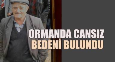 Çivrilde odun kesmek için evinden ayrılan yaşlı adamın ormanda cansız bedeni bulundu