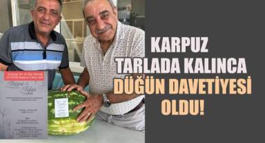 Karpuz tarlada kalınca düğün davetiyesi oldu!