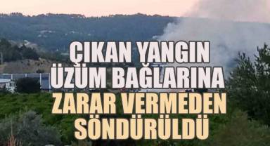 Moloz dökülen sahada çıkan yangın üzüm bağlarına sıçramadan söndürüldü