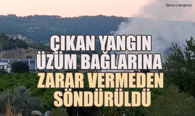 Moloz dökülen sahada çıkan yangın üzüm bağlarına sıçramadan söndürüldü