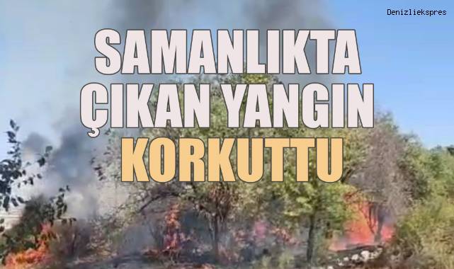 Samanlıkta çıkan yangın korkuttu