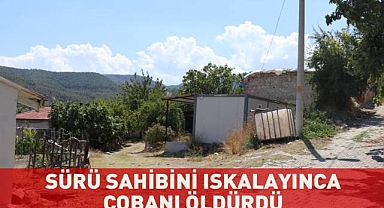 Sürü sahibini ıskalayınca araya giren çobanı öldürdü