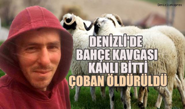 Yaşlı adam, bahçesine giren sürünün çobanını pompalı tüfekle öldürdü