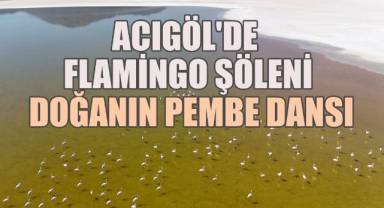 Acıgöl'de Flamingo Şöleni, Doğanın Pembe Dansı