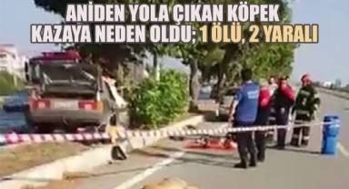 Aniden yola çıkan köpek kazaya neden oldu; 1 ölü, 2 yaralı
