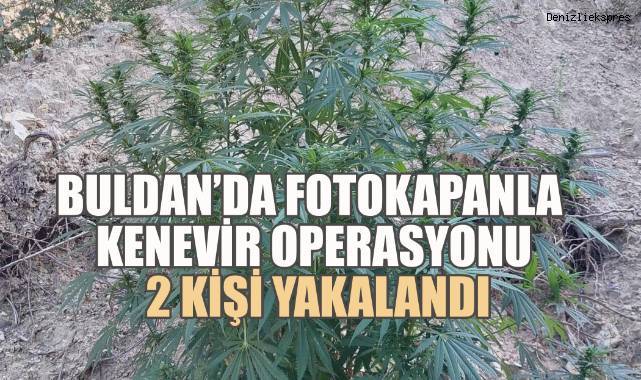 Buldan’da Fotokapanla Kenevir Operasyonu: 2 Kişi Yakalandı
